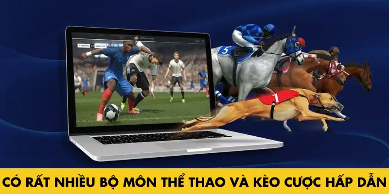 Thể thao BJ88 có ưu điểm gì nổi bật? Khám phá ngay! - Ảnh 6