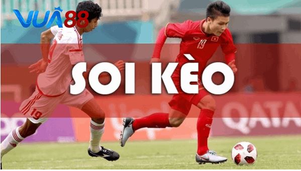 Kết quả soi kèo World Cup 2026 – Bí kíp tra cứu chuẩn xác tại Vua88 - Ảnh 2