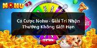 Cá Cược Nohu - Giải Trí Nhận Thưởng Không Giới Hạn