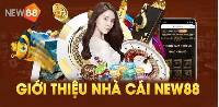 Hướng Dẫn Chi Tiết Cách Chơi Poker Trên New88