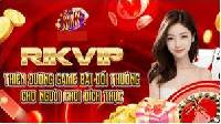 Làm Thế Nào Để Quản Lý Ngân Sách Khi Chơi Game Trên Rikvip
