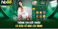 Vì Sao Hb88 Là Nền Tảng Cá Cược Được Lựa Chọn Nhiều Nhất?