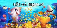 ZingPlay là gì? Hướng dẫn cài đặt và trải nghiệm cổng game