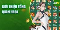 Hướng Dẫn Đăng Ký Và Đăng Nhập HB88 Dành Cho Người Mới