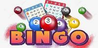 Bingo - Trò Chơi Cá Cược Đầy Hấp Dẫn Mà Bạn Không Nên Bỏ Lỡ