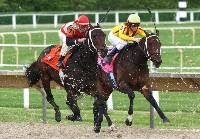 Bí Quyết Chọn Ngựa Đua Chuẩn Xác – Nắm Chìa Khóa Dẫn Tới Mỗi Ván Thắng